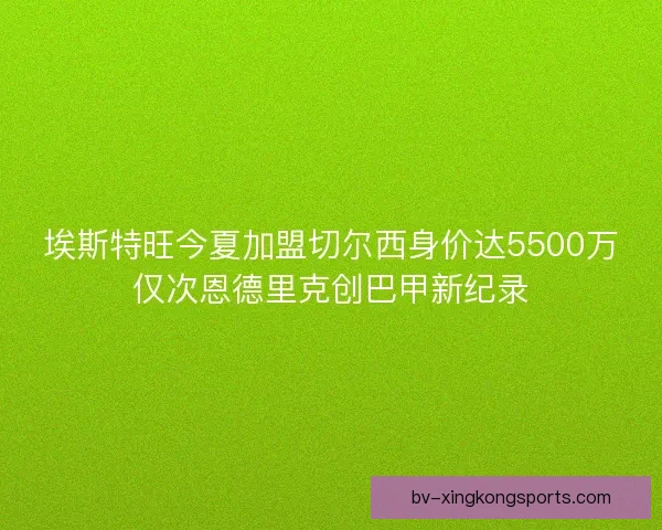 埃斯特旺今夏加盟切尔西身价达5500万仅次恩德里克创巴甲新纪录